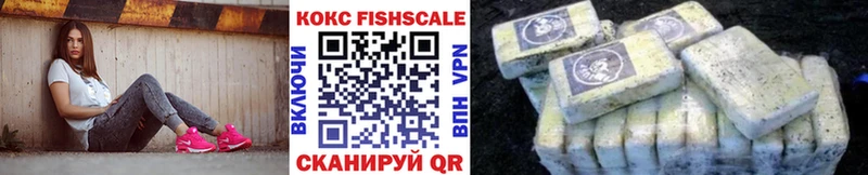 Cocaine Эквадор  где купить наркотик  darknet формула  Новоузенск 