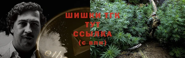 МДПВ Елизово