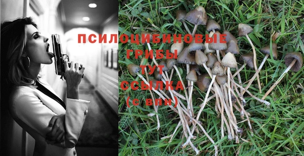 дистиллят марихуана Медногорск