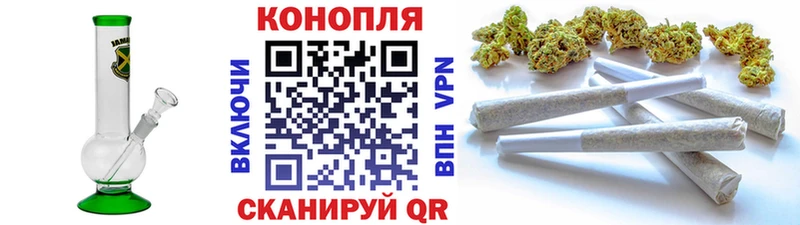 Шишки марихуана марихуана  МЕГА ссылки  Новоузенск 